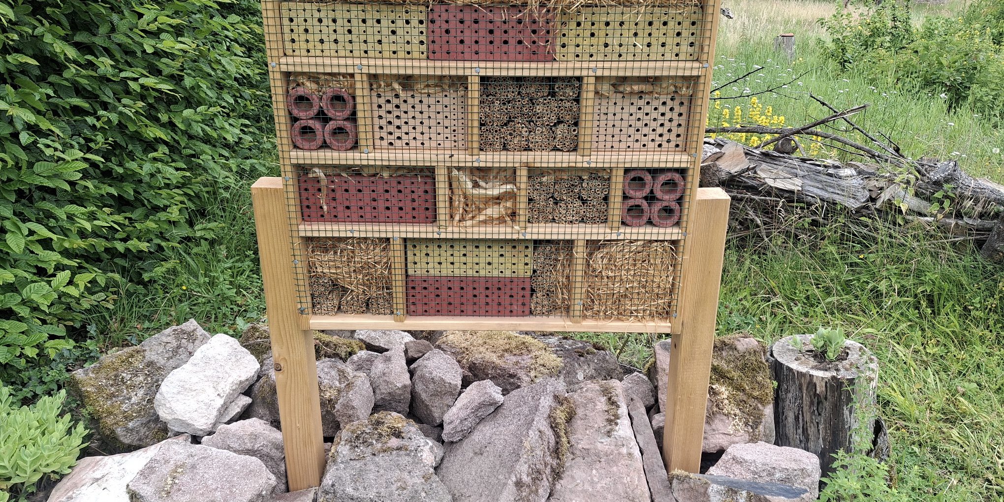 Insektenhaus